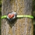 Slackers Ninja Treeclimbers, Kletterset mit 5 innovativen, robusten Kunststoff-Platten mit Anti-Rutsch Griptape, 4 Klettergriffe zum Klettern auf Bäumen und Baumhäusern, 980040 - 4